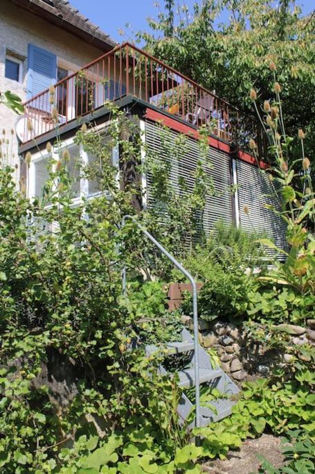 Erholung Mit Seesicht, Terrasse Und Garten Uberlingen Esterno foto