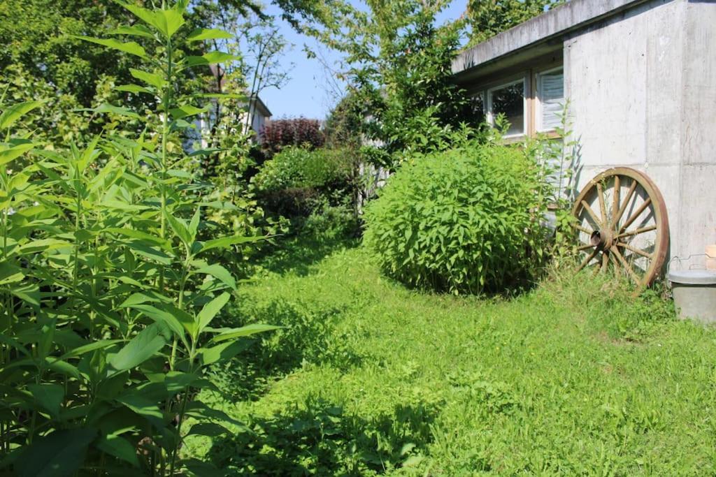 Erholung Mit Seesicht, Terrasse Und Garten Uberlingen Esterno foto